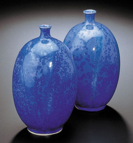 TC 9602 oko fauna.jpg