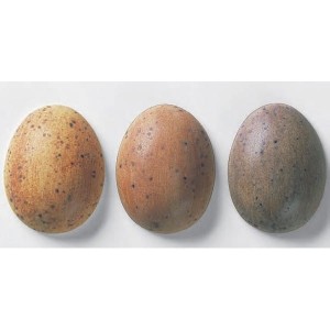 szkliwo TC 7843 - nakrapiane matowe 0,25 kg  