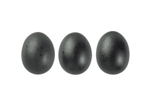 szkliwo TC 7872 - eminenz 1 kg  